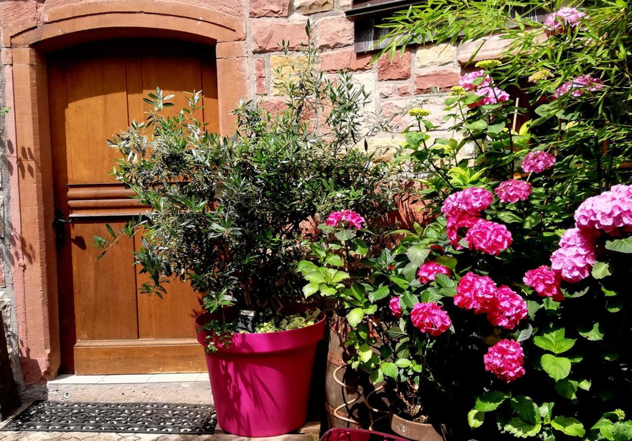 Hofgarten Rosa Ilbesheim bei Landau in der Pfalz Exterior foto